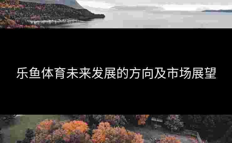 乐鱼体育未来发展的方向及市场展望