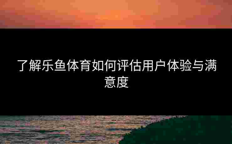 了解乐鱼体育如何评估用户体验与满意度
